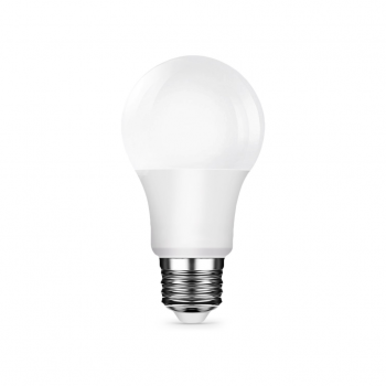 A19 LED Light Bulb